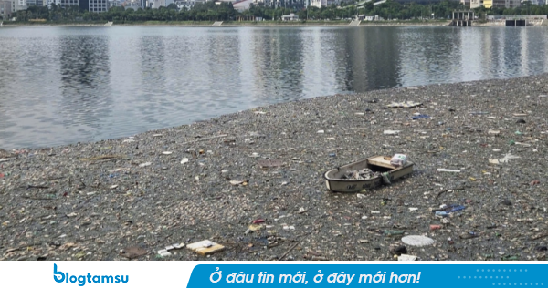 Cá chết nổi trắng góc hồ điều hòa ở Hà Nội