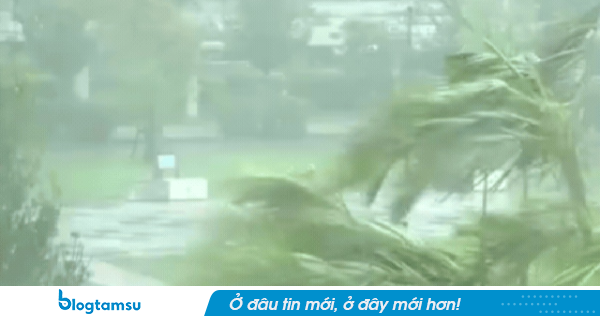 KHẨN CẤP: Bão Jangmi sắp đổ bộ đất liền, hơn 560 chuyến bay bị hủy, nguy cơ sơ tán khẩn cấp