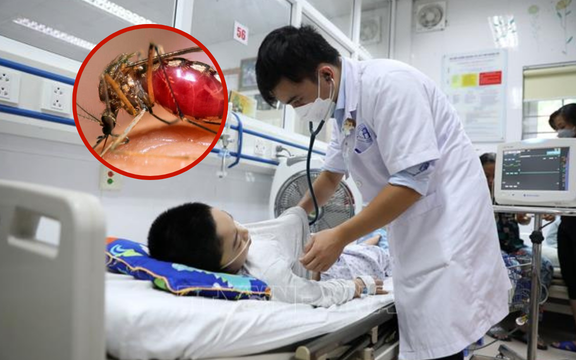 50.000 ca mắc, 5 ca tử vong vì dịch bệnh nguy hiểm, có gia đình cùng lúc mất 2 người con trong mùa dịch