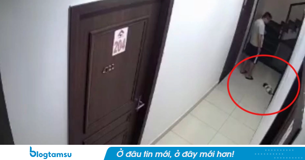 Ph:ẫn n:ộ nam thanh niên đá ch::ết chú chó rồi bỏ vào thùng rác chung cư ở Hải Phòng: Người đăng video lên tiếng