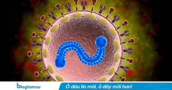 Bác sĩ Bạch Mai cảnh báo loại virus tưởng chỉ trẻ em mới mắc, người già nhiễm dễ suy hô hấp