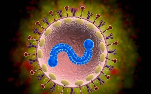 Bác sĩ Bạch Mai cảnh báo loại virus tưởng chỉ trẻ em mới mắc, người già nhiễm dễ suy hô hấp