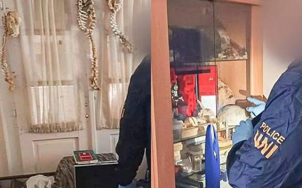 Cảnh sát công bố hình ảnh rùng mình bên trong căn hộ chứa đầy bộ phận người của một nam hộ lý bệnh viện