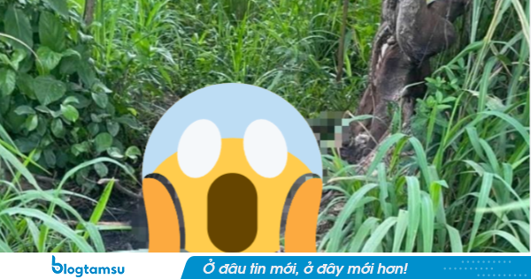 TP.HCM: Phát hiện bộ xương người ở khu đô thị Đại học Quốc gia, bên cạnh có dấu hiệu bất thường
