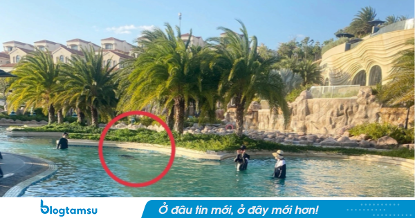 Phục hồi điều tra vụ bé trai người Nhật tử vong ở resort 5 sao