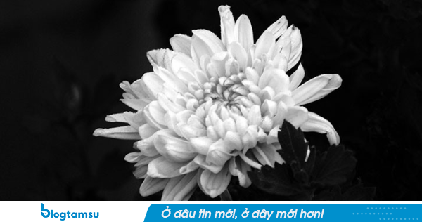 Nữ diễn viên gạo cội Giang Thanh Hà qua đời khép lại sự nghiệp kéo dài gần 6 thập kỷ