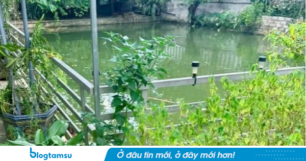 Nghệ An: Bi kịch gia đình mất 3 con vì đuối nước trong 3 năm, nguyên nhân lần 2 khiến ai cũng xót, người cha đau đớn lên tiếng