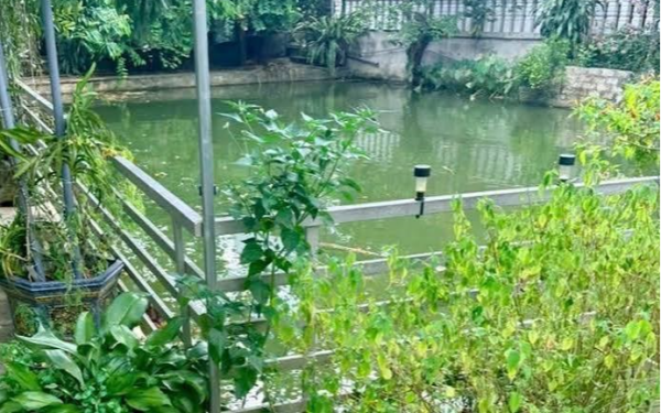 Nghệ An: Bi kịch gia đình mất 3 con vì đuối nước trong 3 năm, nguyên nhân lần 2 khiến ai cũng xót, người cha đau đớn lên tiếng