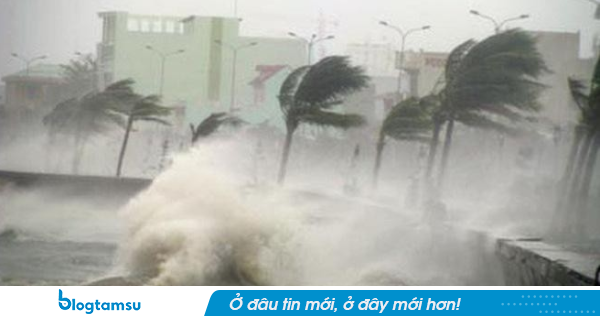 Áp thấp nhiệt đới dự báo hình thành bão trên Biển Đông