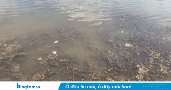 Hơn 100 vật thể lạ nổi kín mặt nước, chính quyền khẩn cấp huy động lực lượng