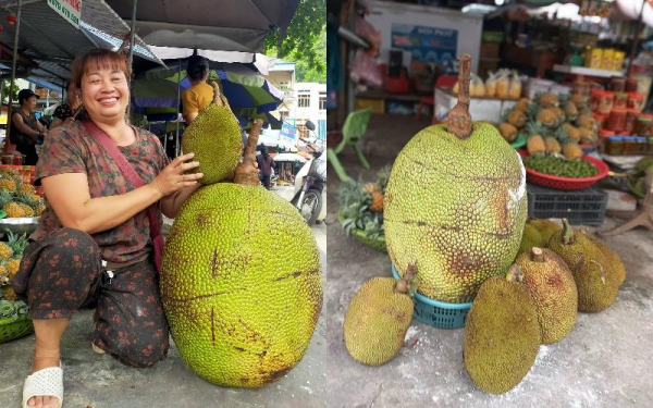 Quả mít nặng 53kg ở Lạng Sơn, chủ sạp hoa quả mua lại với giá 500k, lúc bổ ra thì bên trong SỮNG SỜ