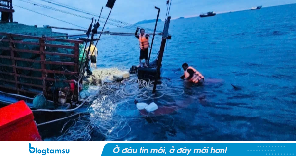 Chìm tàu cá ở Cô Tô do giông lốc, trên tàu có 7 ngư dân