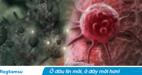 Giới khoa học bất ngờ tìm ra hợp chất quý trong loại gia vị quen thuộc tại Việt Nam có tiềm năng ức chế UT