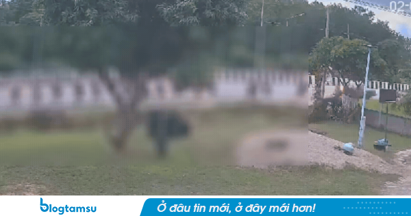 Hiện trường ám ảnh vụ bé trai 11 tuổi xe lao vào đoàn sư khất thực, 10 người không qua khỏi, cha ruột của ca sĩ nổi tiếng Thái Lan