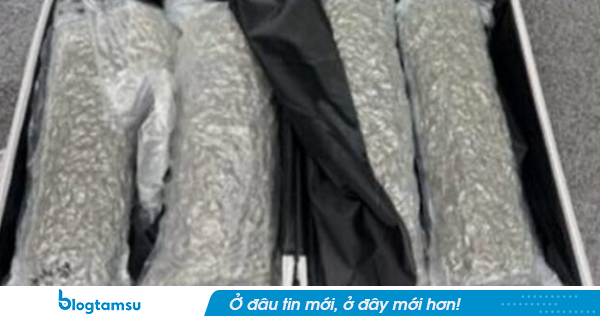 Nữ du khách 21 tuổi bị bắt tại sân bay quốc tế Phuket vì giấu 31,7 kg cần sa trong 2 vali hành lý