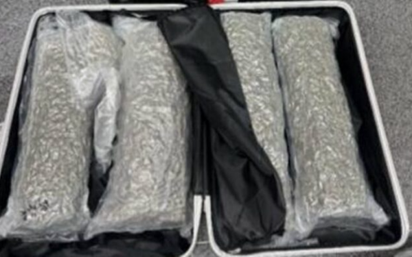 Nữ du khách 21 tuổi bị bắt tại sân bay quốc tế Phuket vì giấu 31,7 kg cần sa trong 2 vali hành lý