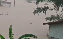Vụ 900 