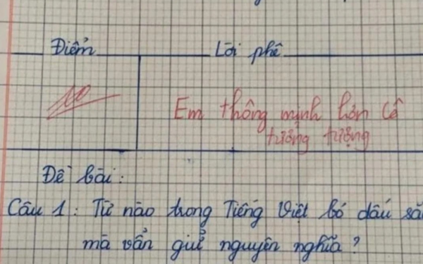 “Từ nào bỏ dấu sắc vẫn giữ nguyên nghĩa”, đáp án của bé tiểu học nhận điểm 10 tuyệt đối