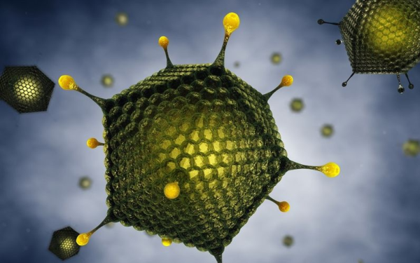 Virus Adeno gia tăng: Chuyên gia cảnh báo sai lầm khiến bệnh trở nặng