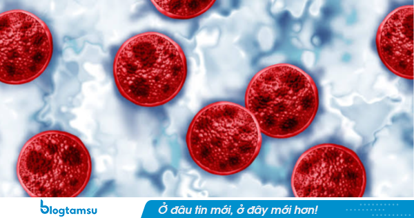 Mỹ điều tra đợt bùng phát bệnh do Cyclospora lớn nhất lịch sử, hơn 11.500 người nghi mắc sau khi ăn rau sống