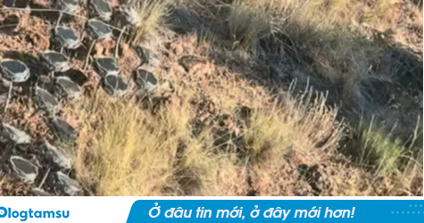 Nghe tiếng hét rợn người giữa núi, 2 mẹ con phát hiện hàng trăm vật thể lạ