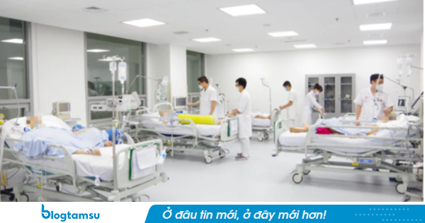 Gia đình 4 người nhập viện sau bát canh khoai tây mọc mầm, một người tử vong