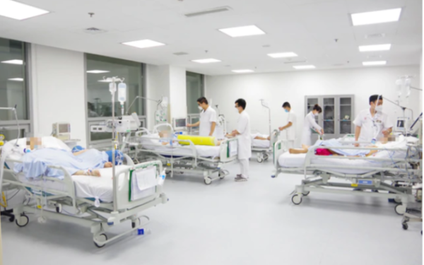 Gia đình 4 người nhập viện sau bát canh khoai tây mọc mầm, một người tử vong