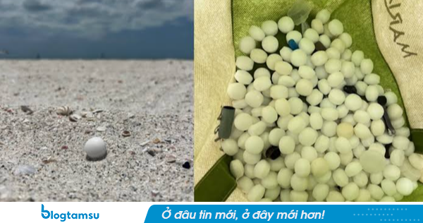 Ngửi thấy mùi lạ trên bãi biển, người dân đến gần rồi tá hỏa