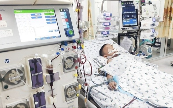 Cả gia đình liên tục đổ bệnh không tìm ra nguyên nhân sau khi đi thuê nhà: Bí mật ẩn sau bức tường bị chủ nhà che giấu