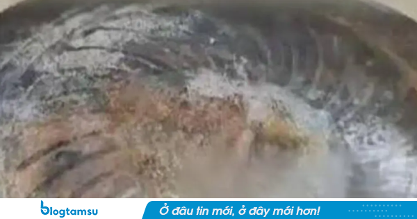Đi xa gần 1 tháng, người đàn ông lạnh sống lưng khi vào bếp: Thứ tưởng đã tắt vẫn hoạt động suốt 27 ngày