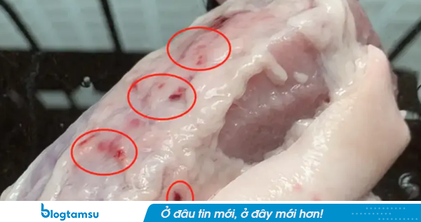 Không ngờ 4 loại thịt đáng lẽ phải BỊ CẤM từ lâu vẫn được nhiều người vẫn ăn