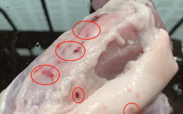 Không ngờ 4 loại thịt đáng lẽ phải BỊ CẤM từ lâu vẫn được nhiều người vẫn ăn