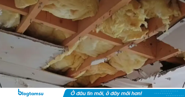 Hóa đơn hơn 5 tỷ đồng chờ sẵn khi trở về sau chuyến du lịch 3 tuần, người phụ nữ không tin nổi cảnh trước mắt