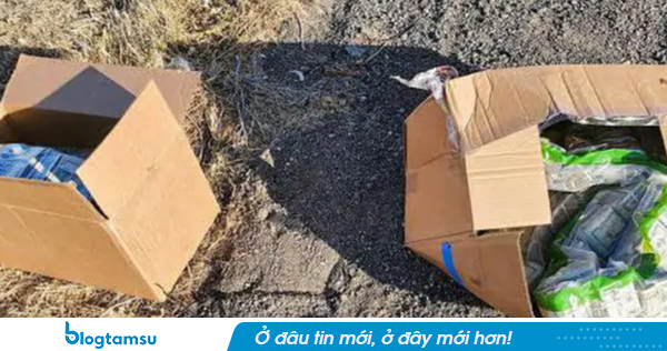 Phát hiện 2 thùng carton chứa gần 24 tỷ đồng tiền mặt bị ném bên cao tốc