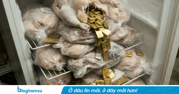 Tịch thu 28 tỷ đồng cùng lượng lớn vàng thỏi, trang sức giấu trong bụng gà, vịt đã cấp đông tại nhà riêng của cựu quan chức SN 1957