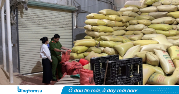 Khởi tố 2 đối tượng về tội sản xuất, buôn bán hàng giả là lương thực