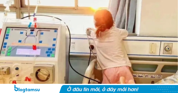 Học sinh lớp 3 qua đời sau 30 ngày phát hiện ung thư thận vì món tráng miệng mềm mềm, thơm ngọt 