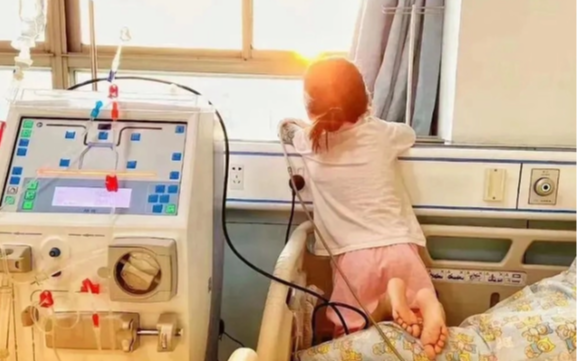 Học sinh lớp 3 qua đời sau 30 ngày phát hiện ung thư thận vì món tráng miệng mềm mềm, thơm ngọt "vạn người mê"
