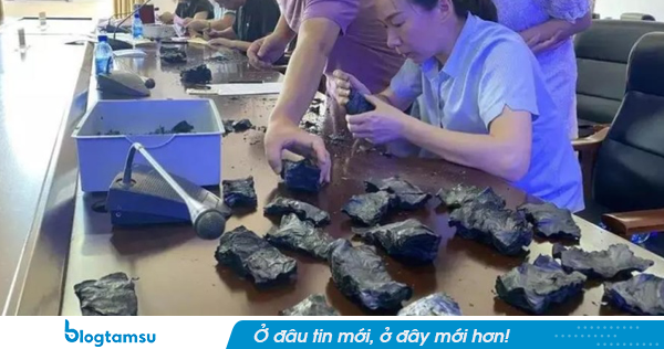 1 tỷ tiền tiết kiệm bị biến thành than đen, Cô gái khóc không nên lời, mang đến ngân hàng đổi và cái kết