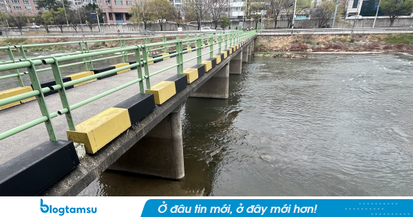 Phát hiện chiếc vali khả nghi chứa điều kinh hoàng bên trong, lập tức bắt giữ 1 đôi vợ chồng