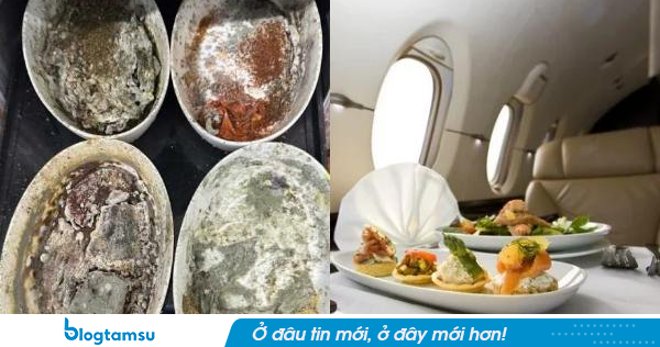 Công ty cung cấp suất ăn cho loạt hãng bay Mỹ bị nhân viên tố có giòi, gián xuất hiện; đồ mốc vẫn được rửa lại để tái sử dụng