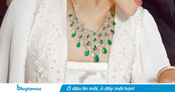Chính thức bắt giữ 