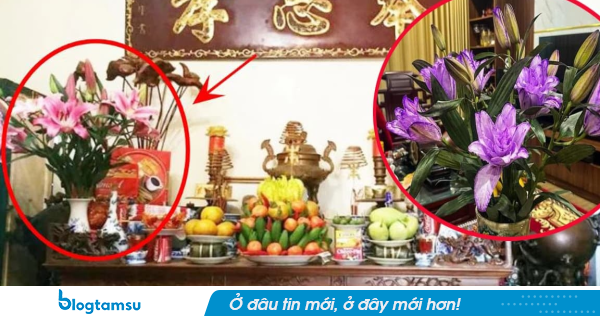 5 loài hoa đại kỵ đặt lên bàn thờ, nhiều nhà vẫn vô tư dâng cúng mà không biết