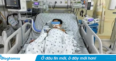 3 chị em ngộ độc, nhập viện nguy kịch vì ăn thịt chuột liên tục