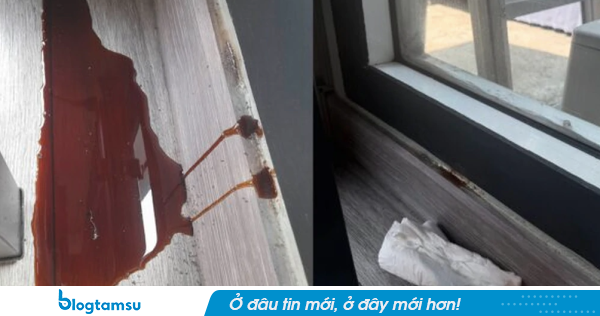 Phát hiện dòng chất lạ chảy từ tường, chuyên gia kiểm tra rồi tìm thấy 
