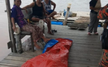 Đang bắt ốc cùng con gái, người phụ nữ 78 tuổi bị cá sấu dài gần 4 mét kéo khỏi thuyền