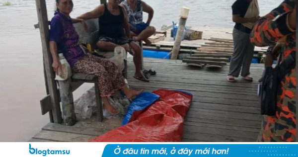 Đang bắt ốc cùng con gái, người phụ nữ 78 tuổi bị cá sấu dài gần 4 mét kéo khỏi thuyền