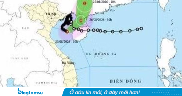 Bão số 4 suy yếu còn cấp 8, dự báo thành vùng áp thấp trong 48 giờ tới