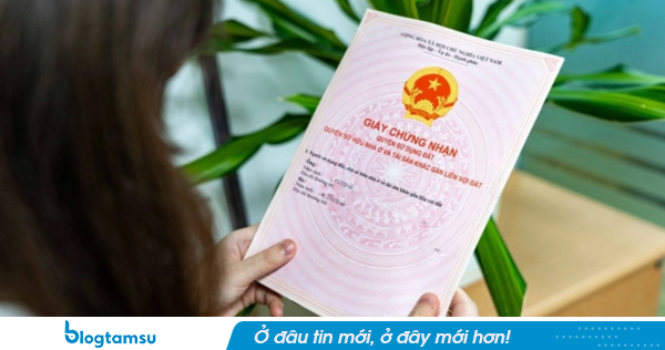 Từ 31/8, nhiều người có sổ đỏ có thể bị phạt tới 6 triệu đồng