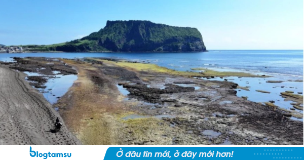 Jeju: Nam thanh niên 20 tuổi mất tích được tìm thấy thi thể sau 25 giờ